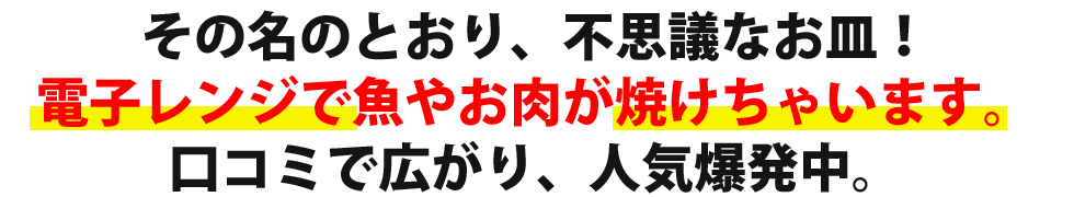 ふしぎなお皿キャッチコピー